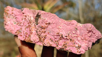 Natural Pink Salrose Cobaltion Dolomite Specimens x 6 From Kakanda, Congo