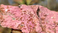 Natural Pink Salrose Cobaltion Dolomite Specimens x 6 From Kakanda, Congo