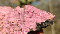 Natural Pink Salrose Cobaltion Dolomite Specimens x 6 From Kakanda, Congo