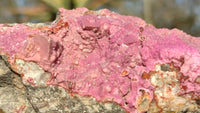 Natural Pink Salrose Cobaltion Dolomite Specimens x 6 From Kakanda, Congo