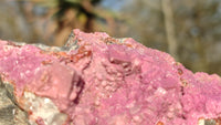 Natural Pink Salrose Cobaltion Dolomite Specimens x 6 From Kakanda, Congo