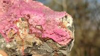 Natural Pink Salrose Cobaltion Dolomite Specimens x 6 From Kakanda, Congo