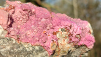 Natural Pink Salrose Cobaltion Dolomite Specimens x 6 From Kakanda, Congo