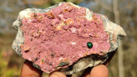 Natural Pink Salrose Cobaltion Dolomite Specimens x 6 From Kakanda, Congo