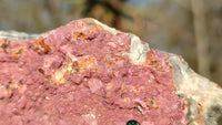 Natural Pink Salrose Cobaltion Dolomite Specimens x 6 From Kakanda, Congo