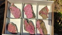 Natural Pink Salrose Cobaltion Dolomite Specimens x 6 From Kakanda, Congo