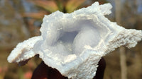 Natural Etched Blue Chalcedony Specimens  x 12 From Nsanje, Malawi