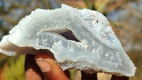 Natural Etched Blue Chalcedony Specimens  x 12 From Nsanje, Malawi