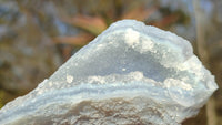 Natural Etched Blue Chalcedony Specimens  x 12 From Nsanje, Malawi