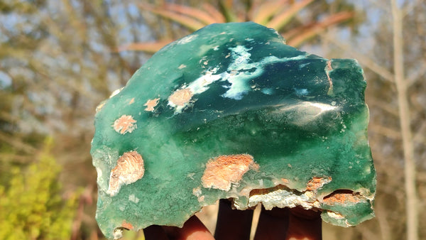 Polished Emerald Mtorolite Chrysoprase Plates  x 6 From Zimbabwe