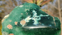 Polished Emerald Mtorolite Chrysoprase Plates  x 6 From Zimbabwe