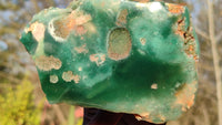 Polished Emerald Mtorolite Chrysoprase Plates  x 6 From Zimbabwe