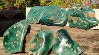 Polished Emerald Mtorolite Chrysoprase Plates  x 6 From Zimbabwe