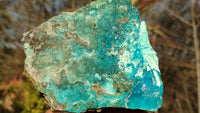 Natural Drusy Coated Chrysocolla Dolomite Specimens x 2 From Kakanda, Congo