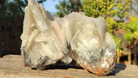 Natural Rare Large Bladed Barite Specimen x 1 From Congo