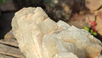 Natural Rare Large Bladed Barite Specimen  x 1 From Congo