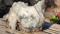 Natural Rare Large Bladed Barite Specimen x 1 From Congo