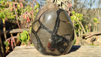 Polished Septerye Sauvage Dragons Egg Standing Free Form x 1 From Madagascar