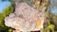 Natural Spirit Amethyst Quartz Clusters x 12 From Boekenhouthoek, South Africa