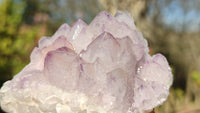 Natural Spirit Amethyst Quartz Clusters x 12 From Boekenhouthoek, South Africa