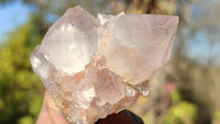 Natural Spirit Amethyst Quartz Clusters x 12 From Boekenhouthoek, South Africa