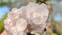 Natural Spirit Amethyst Quartz Clusters x 12 From Boekenhouthoek, South Africa