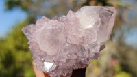 Natural Spirit Amethyst Quartz Clusters x 12 From Boekenhouthoek, South Africa