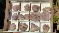 Natural Spirit Amethyst Quartz Clusters x 12 From Boekenhouthoek, South Africa