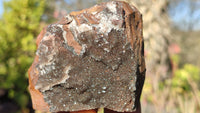 Natural Rare Libethenite Crystals With Drusy Dolomite On Banded Ironstone Matrix  x 6 From Congo