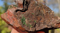 Natural Rare Libethenite Crystals With Drusy Dolomite On Banded Ironstone Matrix  x 6 From Congo