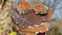 Natural Rare Libethenite Crystals With Drusy Dolomite On Banded Ironstone Matrix  x 6 From Congo