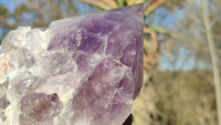 Polished Single Amethyst Crystals x 4 From Mumbwe, Zambia