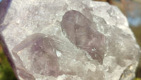 Polished Single Amethyst Crystals x 4 From Mumbwe, Zambia