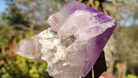 Polished Single Amethyst Crystals x 4 From Mumbwe, Zambia