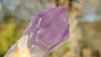 Polished Single Amethyst Crystals x 4 From Mumbwe, Zambia