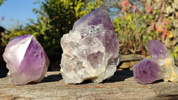 Polished Single Amethyst Crystals x 4 From Mumbwe, Zambia