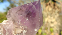 Polished Stunning Amethyst Crystals x 6 From Southern Africa