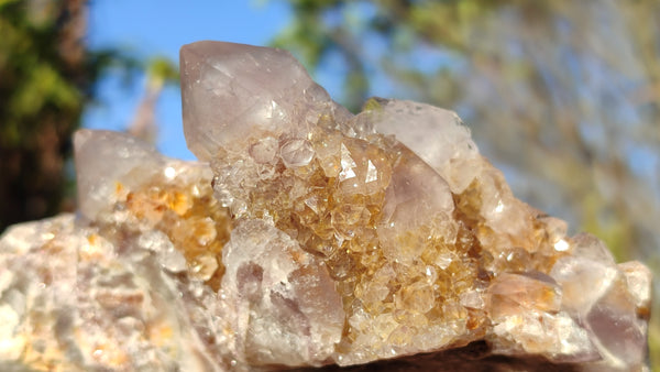 Natural Drusy Coated Spirit Cactus Flower Quartz Formations x 2 From Boekenhouthoek, South Africa