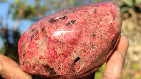 Polished Red Rhodonite Free Forms x 3 From Zimbabwe