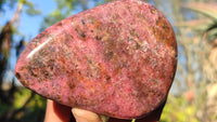 Polished Red Rhodonite Free Forms x 3 From Zimbabwe