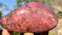 Polished Red Rhodonite Free Forms x 3 From Zimbabwe