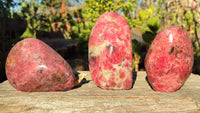 Polished Red Rhodonite Free Forms x 3 From Zimbabwe