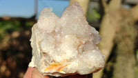 Natural Spirit Quartz Clusters x 12 From Boekenhouthoek, South Africa