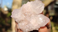 Natural Spirit Quartz Clusters x 12 From Boekenhouthoek, South Africa