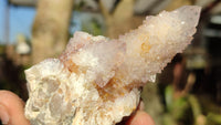 Natural Spirit Quartz Clusters x 12 From Boekenhouthoek, South Africa