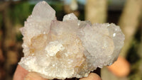 Natural Spirit Quartz Clusters x 12 From Boekenhouthoek, South Africa