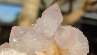 Natural Spirit Quartz Clusters x 12 From Boekenhouthoek, South Africa