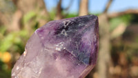 Natural Window Amethyst Quartz Crystals  x 6 From Chiredzi, Zimbabwe