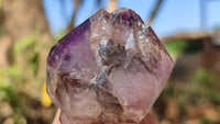 Natural Window Amethyst Quartz Crystals  x 6 From Chiredzi, Zimbabwe