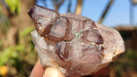 Natural Window Amethyst Quartz Crystals  x 6 From Chiredzi, Zimbabwe